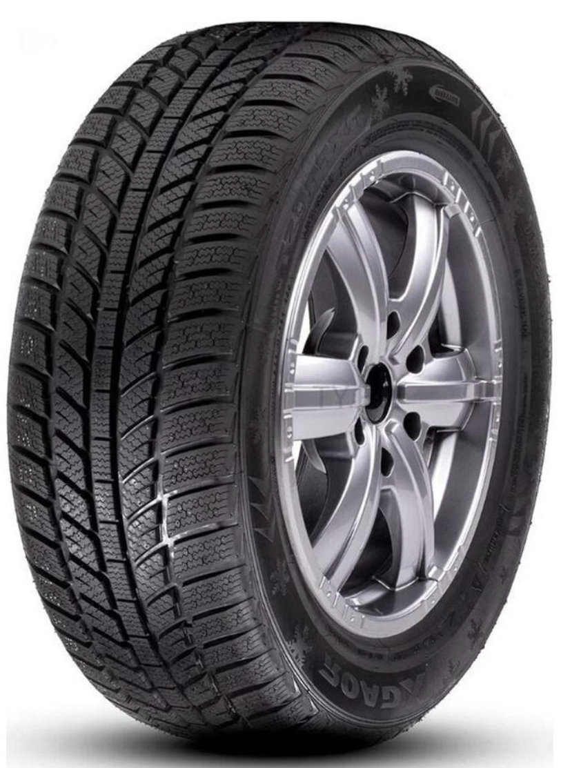 Зимние шины RoadX RXFrost WH01
