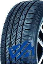 Зимние шины Tracmax S220